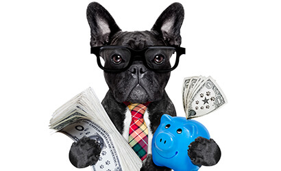 Dog wearing glasses while holding money and a piggy bank
