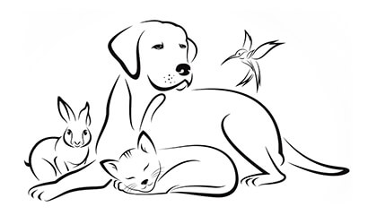 Group Of Pets, a Dog, Cats, rabbits, mouse, stuffpetslove