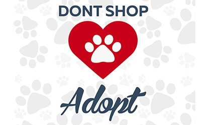 Adopt a pet, don't shop, dogs cats, stuffpetslove