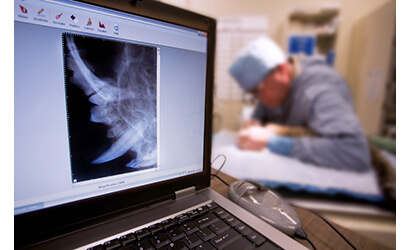 Veterinary office performing a dental procedure