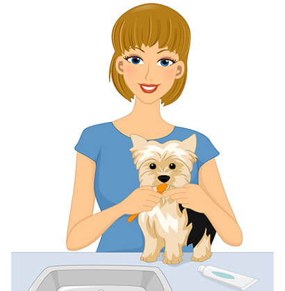 Illustration of a woman cleaning dogs teeth
