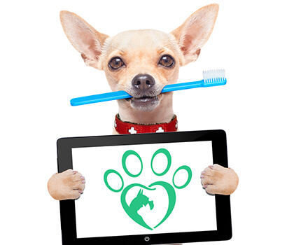 Cute dog holding an ipad with StuffPetsLove logo shown